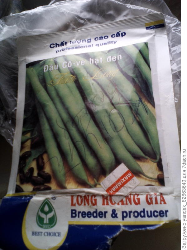 Вот она, моя кормилица