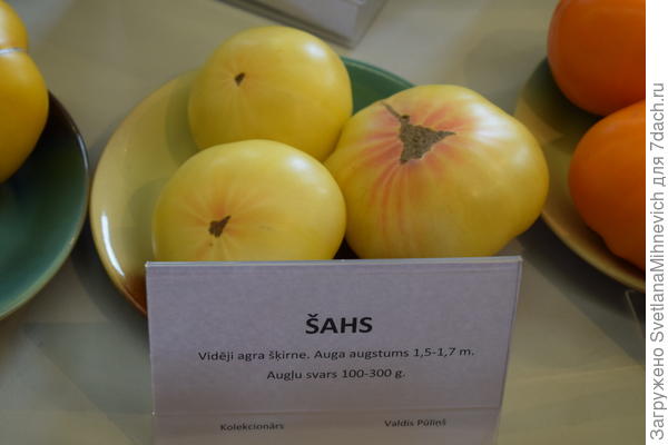 Шах