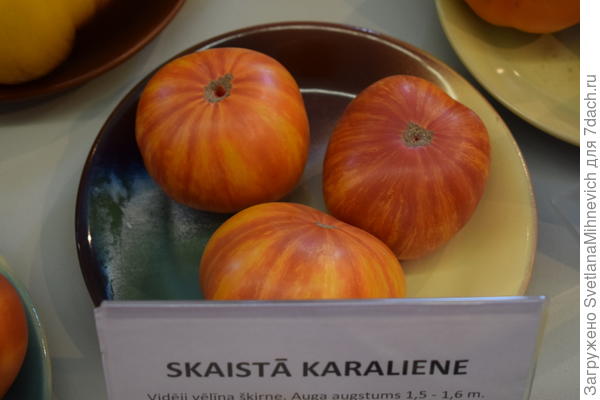 Красивая королева