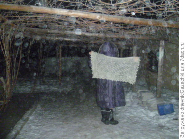палантин