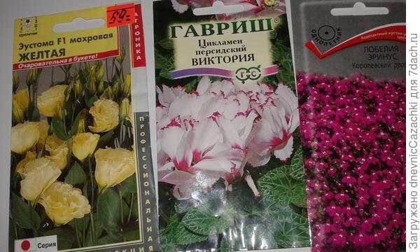семена цветов