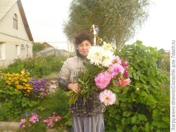палисадник