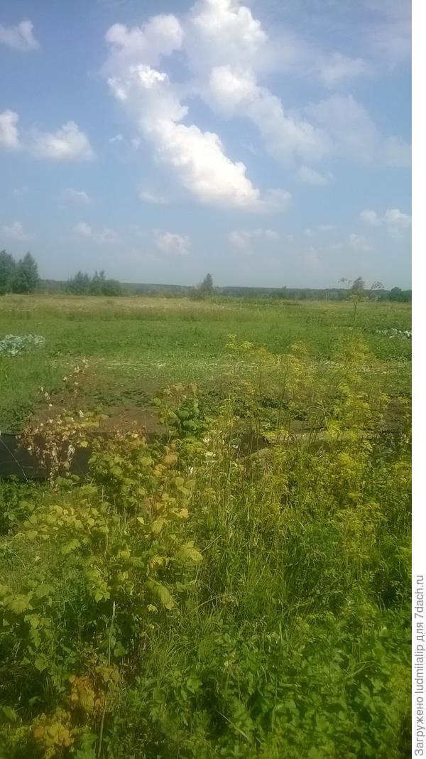 Поле-русское поле.......
