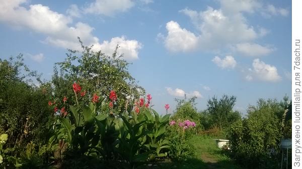 Это фото для хорошего настроения!