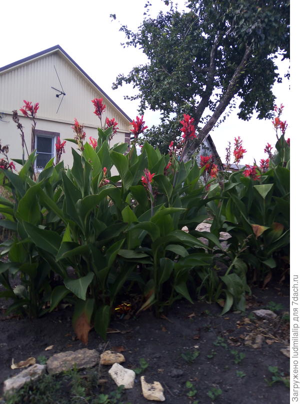 А это канны сейчас...сентябрь...