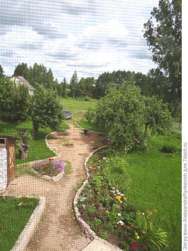 вот эта клумба - основная площадка для моего творчества...