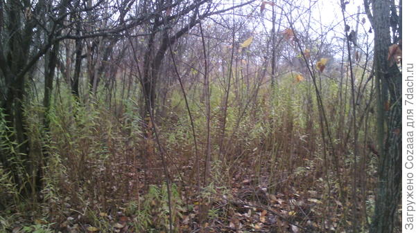 Это уже ничего. А то было света белого не видно.