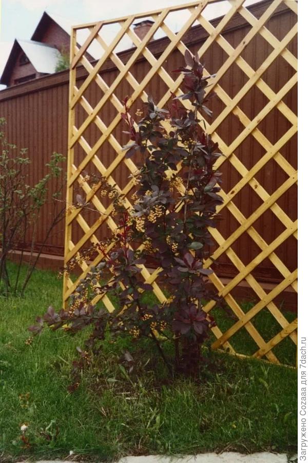 Вариант 5 самый простой