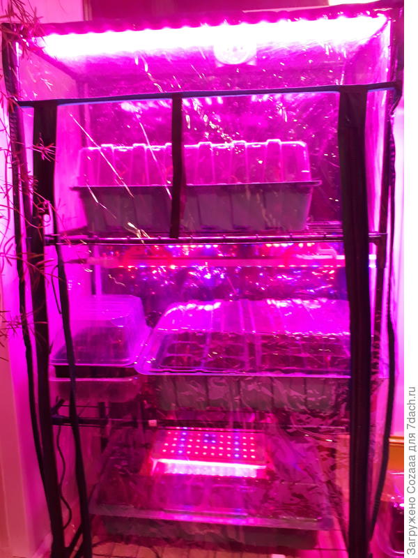 Чем не космический корабль?