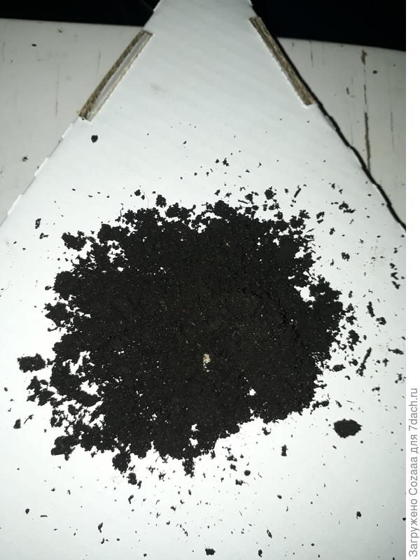 Не знаю, может мне повезло и попалась хорошая партия, вот, прямо хороший такой чернозёмчик.