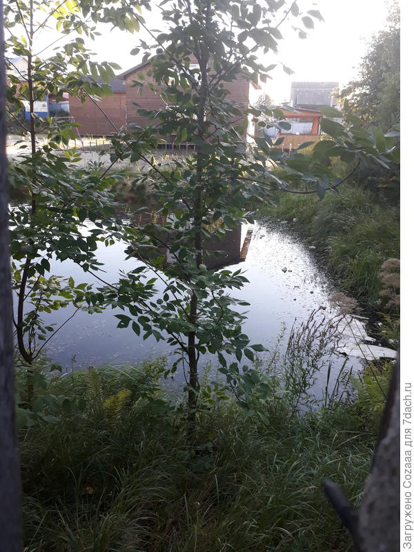 Дом, милый дом (это я про водоём).