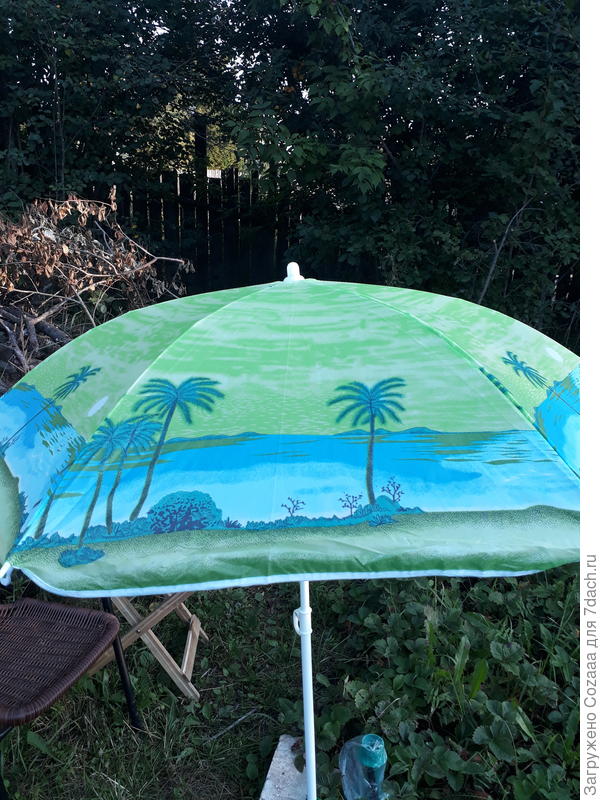 А это - морре! Пальмы и песок.