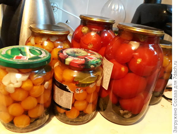 Укатала. Это вторая партия &amp;quot;старушек&amp;quot;. Сажала так, ради эксперимента. Солнечные баночки!