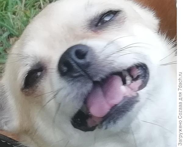 Таких трое.