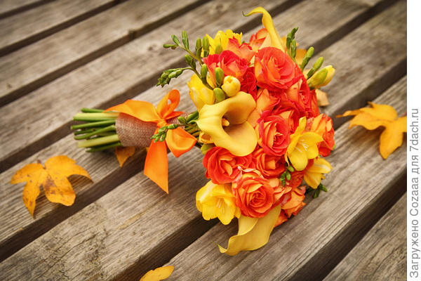 Сентябрятам.