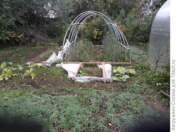 Разобранный огуречник