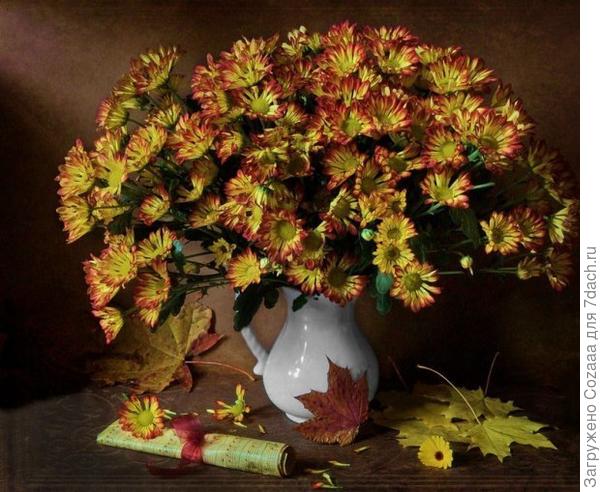 Грустит природа в ноябре. Холодный кружит ветер Последний листик во дворе, Как памятку о лете.  И выпадает первый снег. Но вопреки ненастью, У нас веселье, шутки, смех И пожеланья счастья!