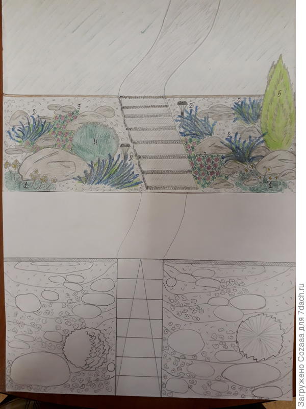 Альпинарий возле подпорной стенки.