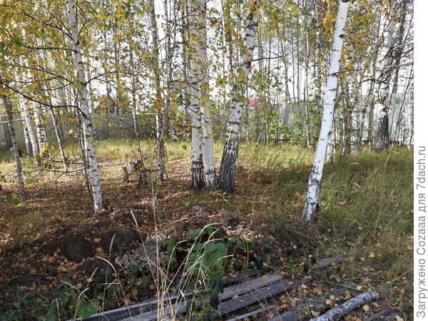 Вот такой лесок, нашла фото.