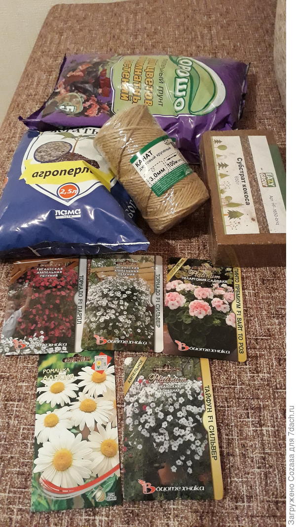 А это мой "улов". Купила петунии, какие хотела - серии Торнадо и Тайфун, ромашку крупноцветковую Аляска и пеларгонию садовую. Цветки у неё изумительные, бело-розовые.