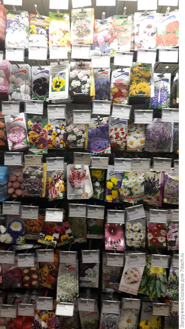 Ну как тут можно сдержать себя?