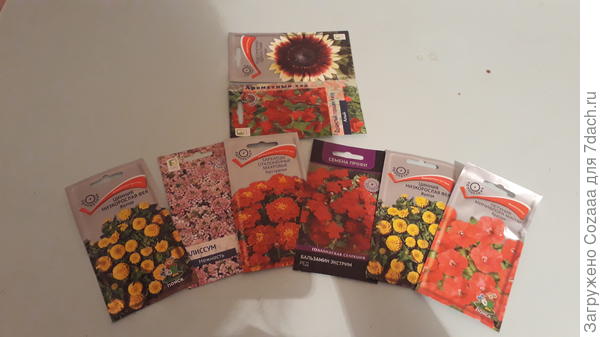 Лена, вот так?