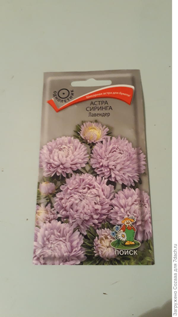 Она что, многолетняя? Написано однолетник.