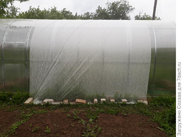 Спанбонд двадцатка.