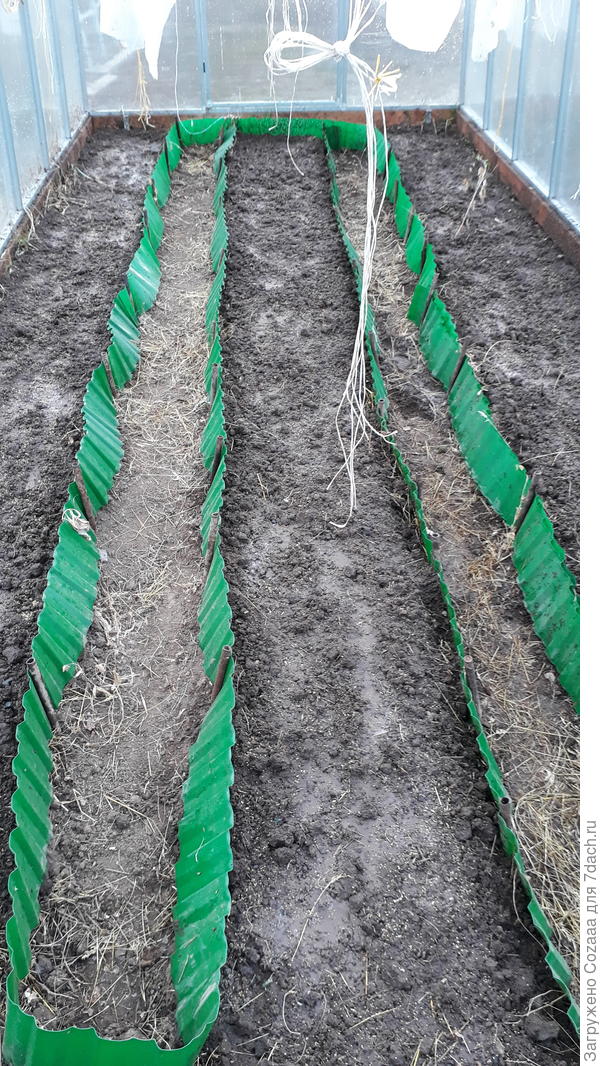 Бордюрная лента - это был временный вариант. Это снимок я сделала в прошлые выходные.