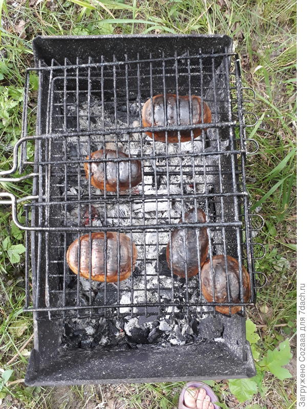 Вкусняшка!