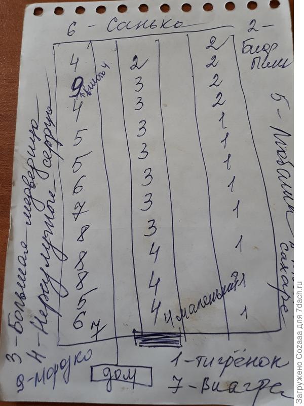 Высадку томатов фиксирую в блокнот в виде схемы. Посчитав их "по головам", будет понятно какой сорт высажен.