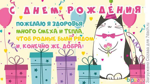 София, а кот чем-то похож на Витаса, наверное благородным видом и бабочкой.