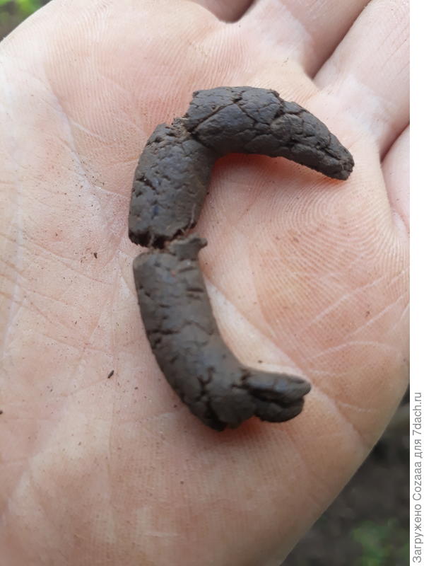 Вот земля сворачивается даже колбаской и не ломается.