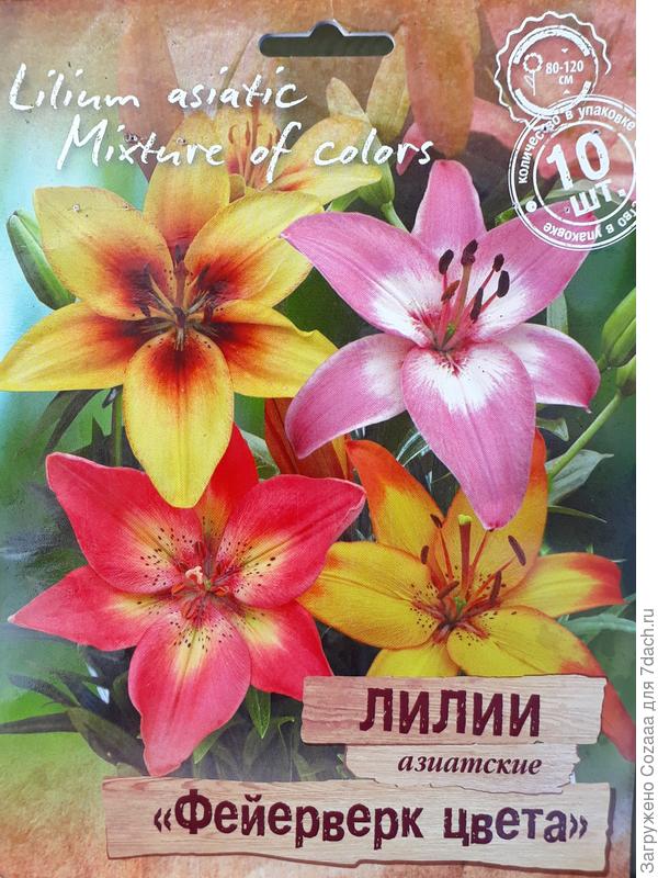 Точь в точь как на картинке!