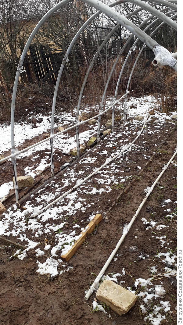 Вот тут, если приглядеться, то видна крупка мочевины на земле.