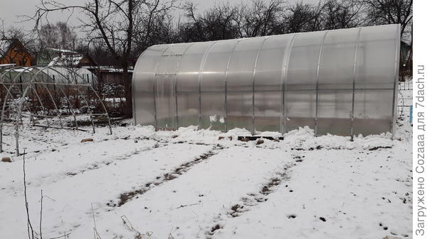 Вот по всем этим грядкам и раскидала. У меня тогда два пакета ушло с мочевиной на эту процедуру. Я ещё в кусты смородиновые покидала и в клубнику.