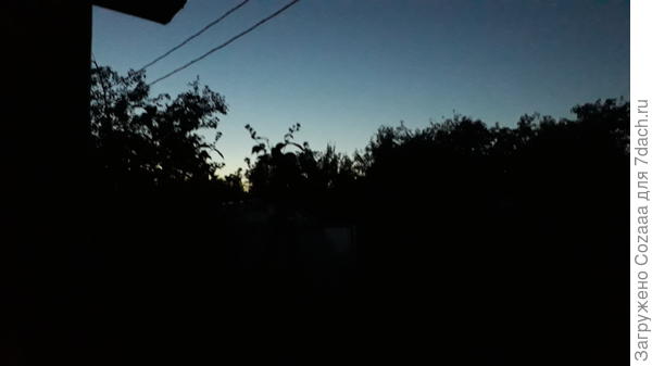 Приехала, уже темно. Включила фонарик на телефоне, вспугнув дремлющих на ирге птиц. Хотя, кто кого из нас вспугнул, это большой вопрос!