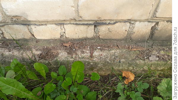 Кирпич положен на бетонную сваю или плиту, толком не знаю.