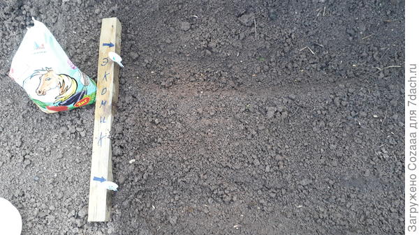 Посев произвожу 07.06.2019. Проливаю бороздки (по инструкции) в тестовой группе рабочим раствором 100 мл на 10 л воды. Поскольку земля бедная, заправляю её в тестовой и контрольной группе гранулами Оргавита.
Источник: https://7dach.ru/Cozaaa/biospektr-242262.html