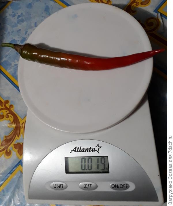 Самый крупный.