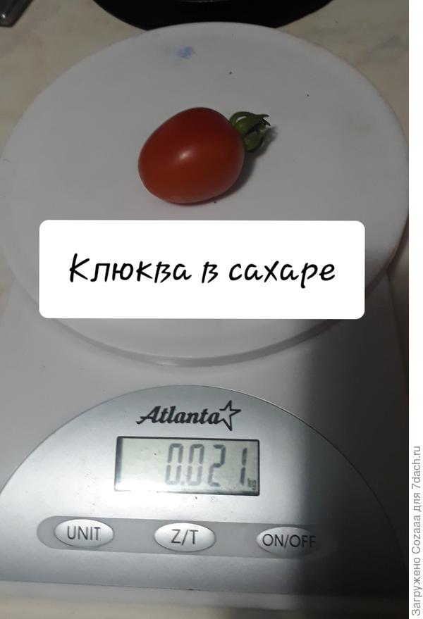 Самый большой.