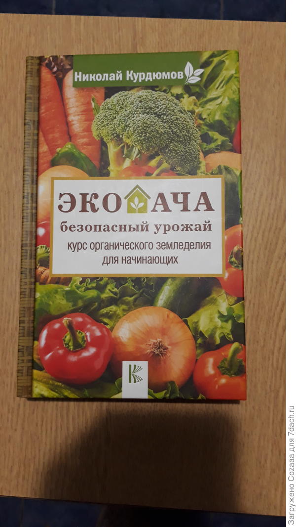 Набираюсь уму-разуму. Давно хотела познакомиться с трудами Курдюмова.