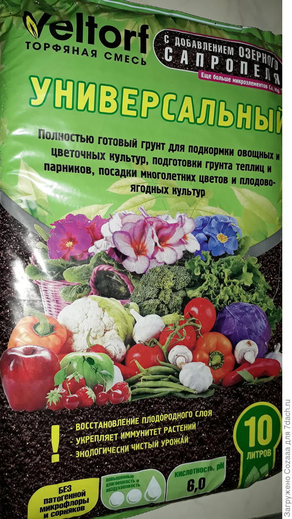 Грунт