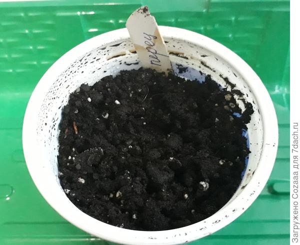 Ну а это хулиганит и не слушается