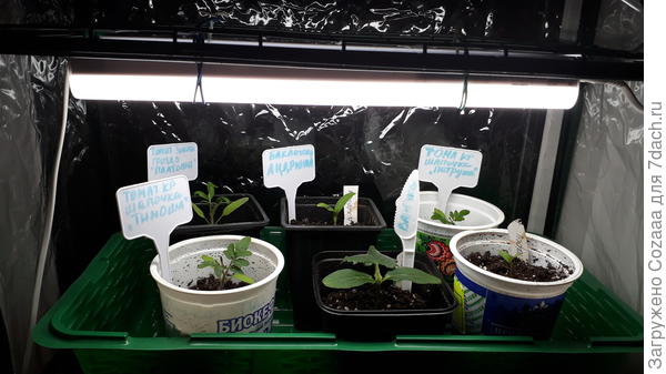 Присоединяйся!