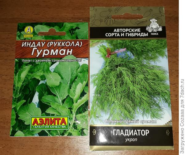 Рукколу и укроп