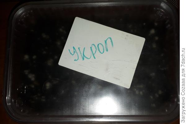 Укропу тоже.