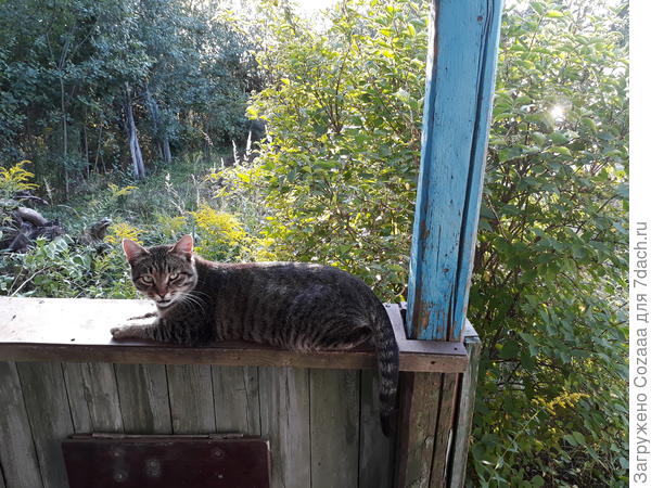 Друг - просто друг!