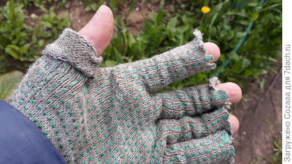 Перчатки немного жалко, руки жалко больше. Котэ работает без перчаток.