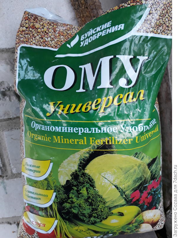 И ещё ради эксперимента, как я и обещала два растения высадила не на ЦИОН, а на органо-минеральное удобрение пролонгированного действия. Посмотрю, где выше будет урожай.